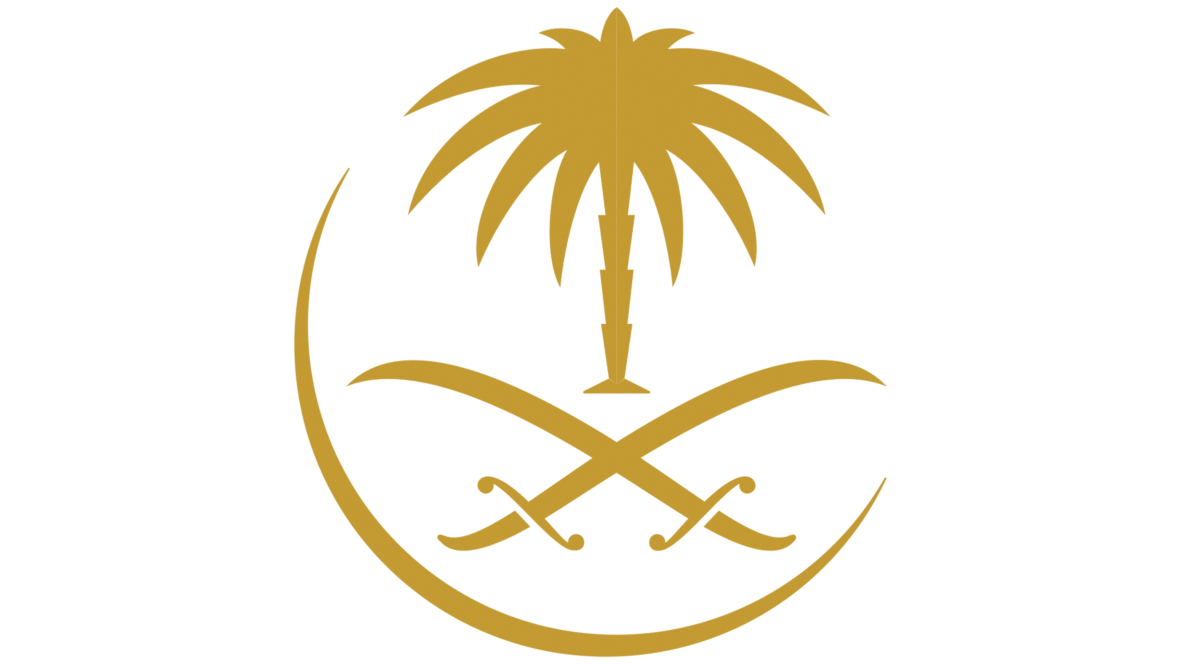 SAUDI AIRL